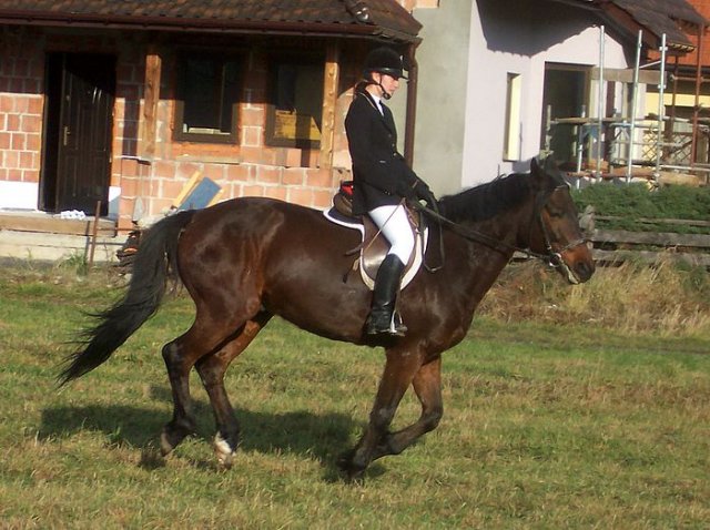 Hubertus 2006